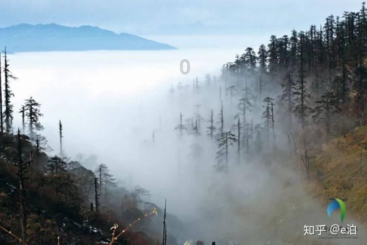 燃烧吧大脑免广告最新版