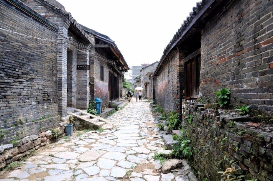 马蹄莲是什么时候开放?-专业有问必答平台,快速解决你的疑惑